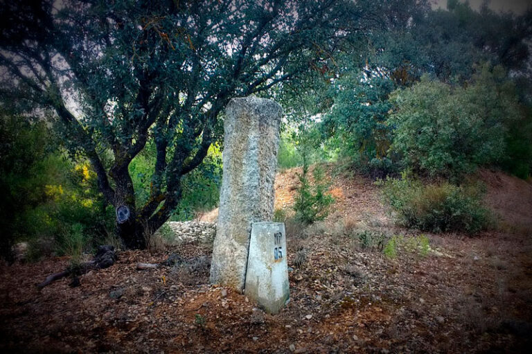 mojon de piedra de grandes dimensiones en un bosque